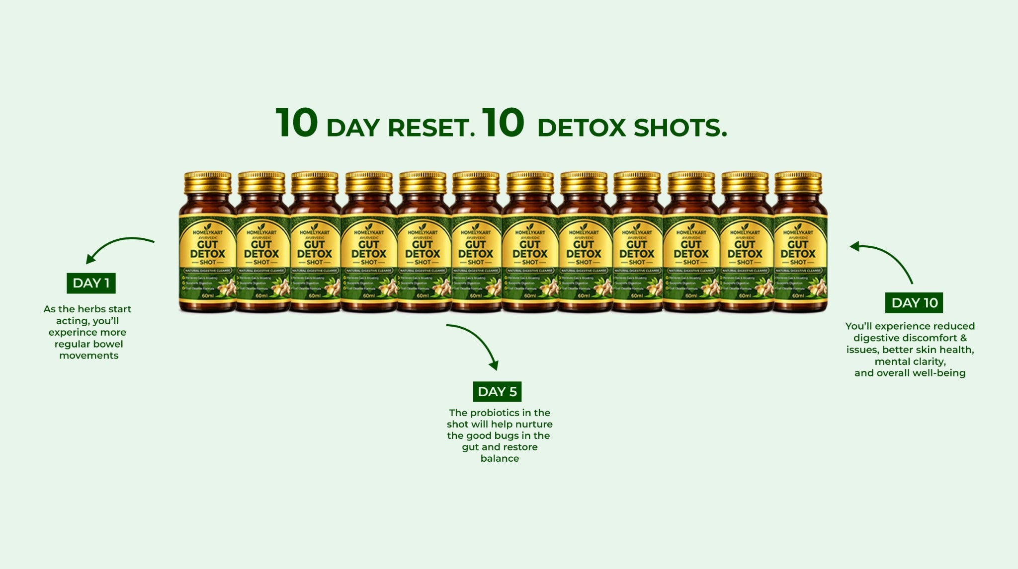 Gut Detox Hero Banner